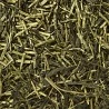 Té verde Kukicha Japonés
