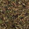 comprar Infusión Diente de León