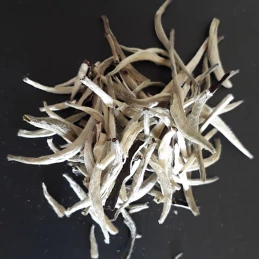 comprar Té Blanco Yin Zhen Silver Needle