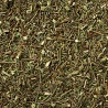 Rooibos Verde Orgánico