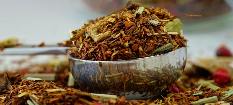 Rooibos propiedades y beneficios