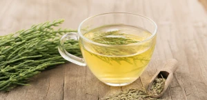 Infusión de cola de caballo: propiedades y beneficios