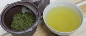 Té Verde japonés Sencha